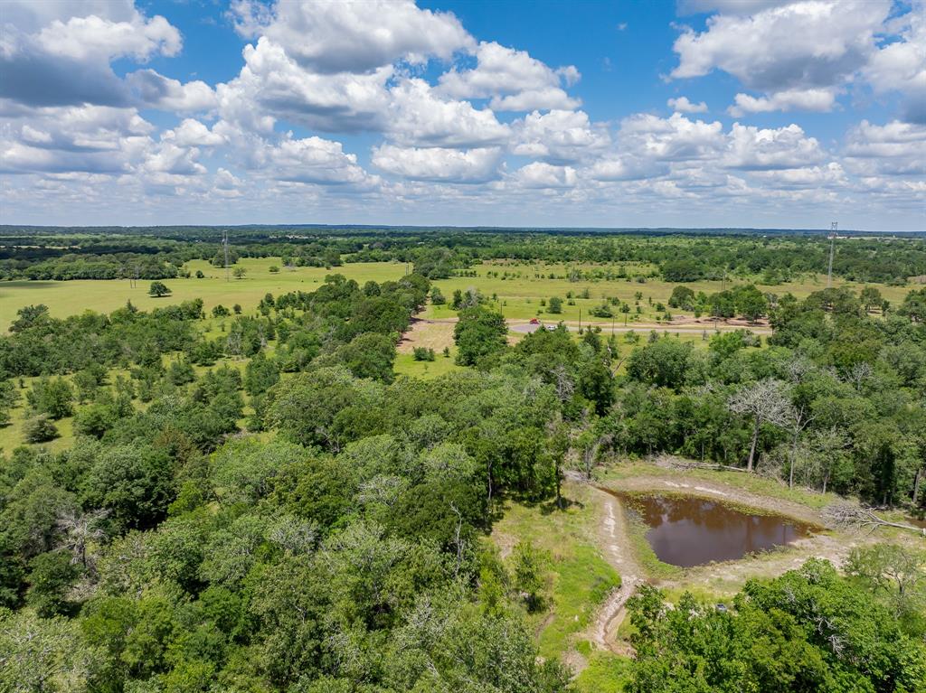 6501 Atakapan Trail Trl, Bedias, Texas image 7