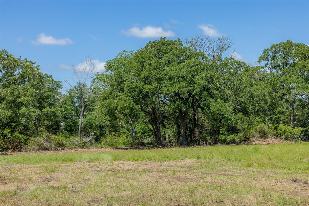 6501 Atakapan Trail Trl, Bedias, Texas image 2