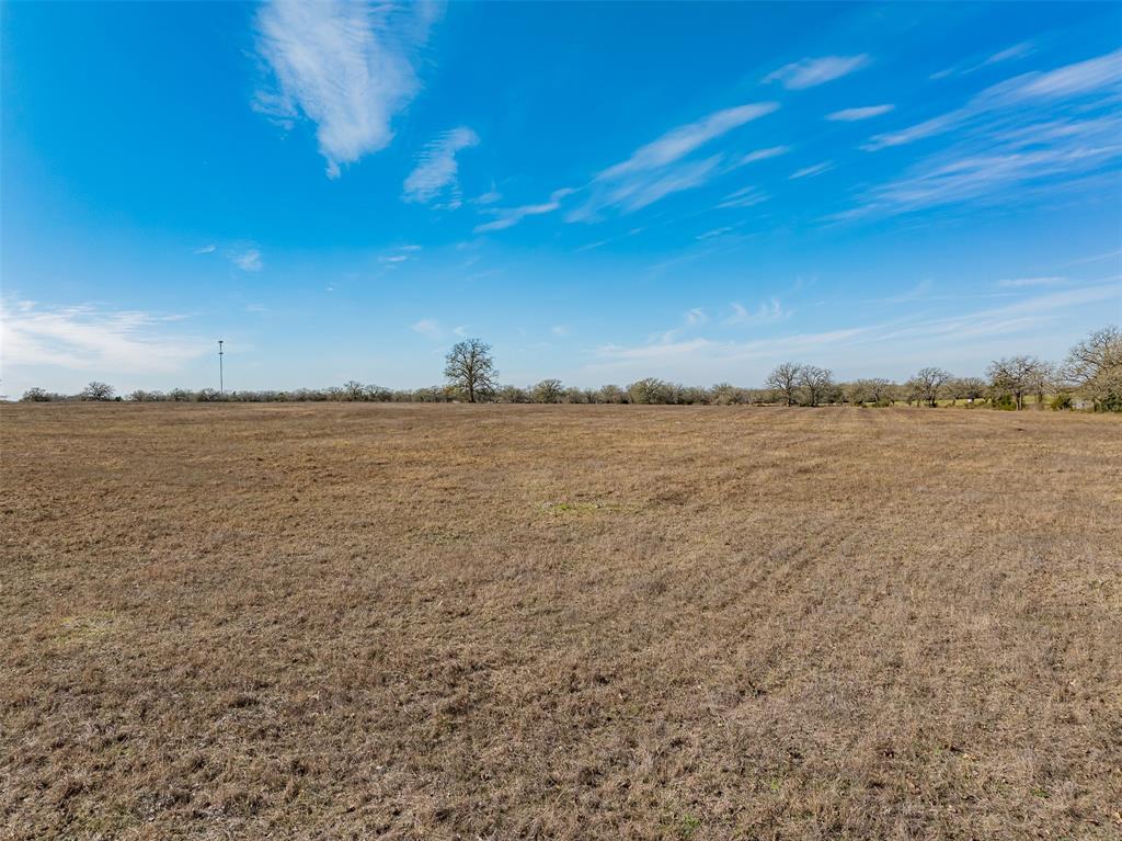 2529 Nickel Mica Road, Flatonia, Texas image 11