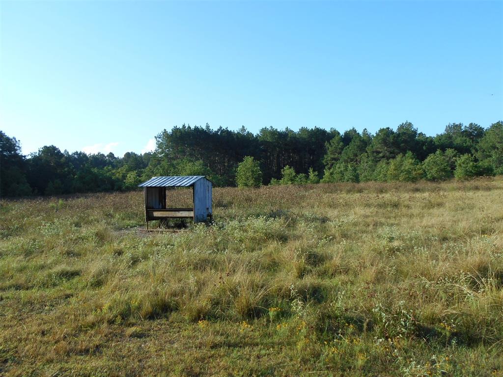 0000 Old Beaumont Road, Sour Lake, Texas image 16