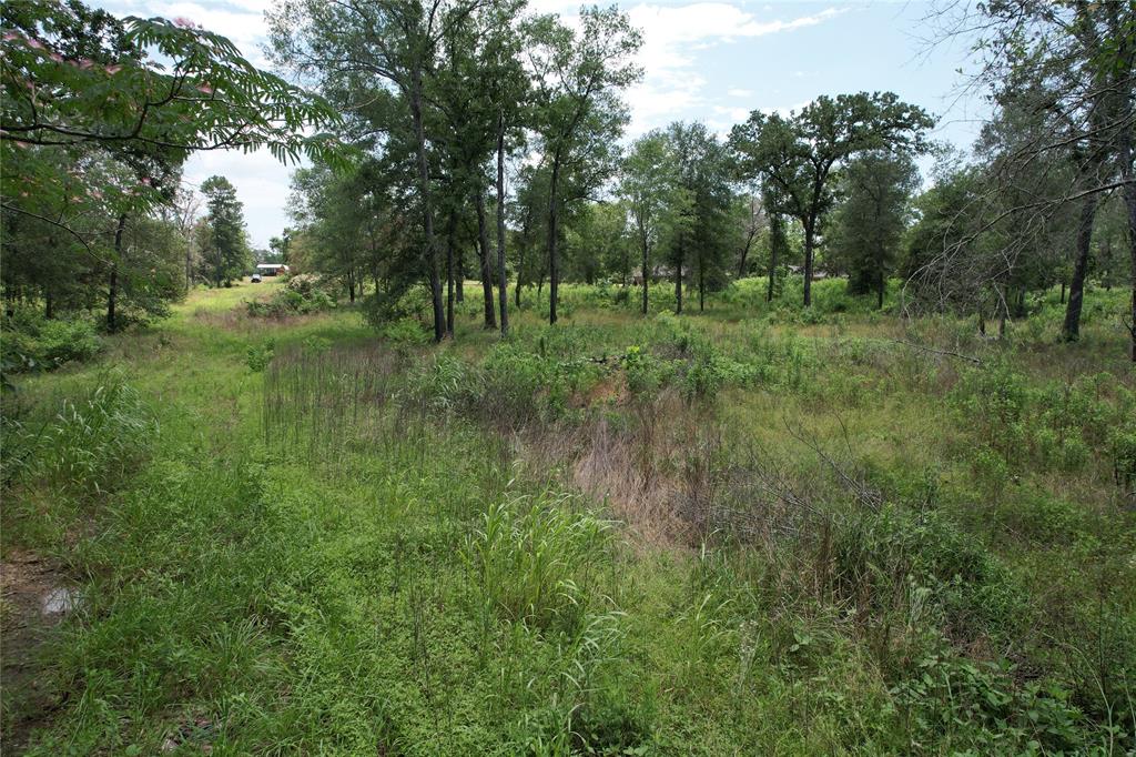 TBD Jones Road, Elkhart, Texas image 14