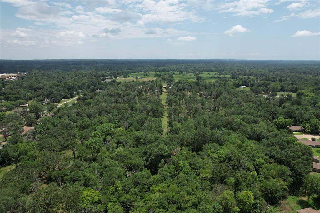 TBD Jones Road, Elkhart, Texas image 10