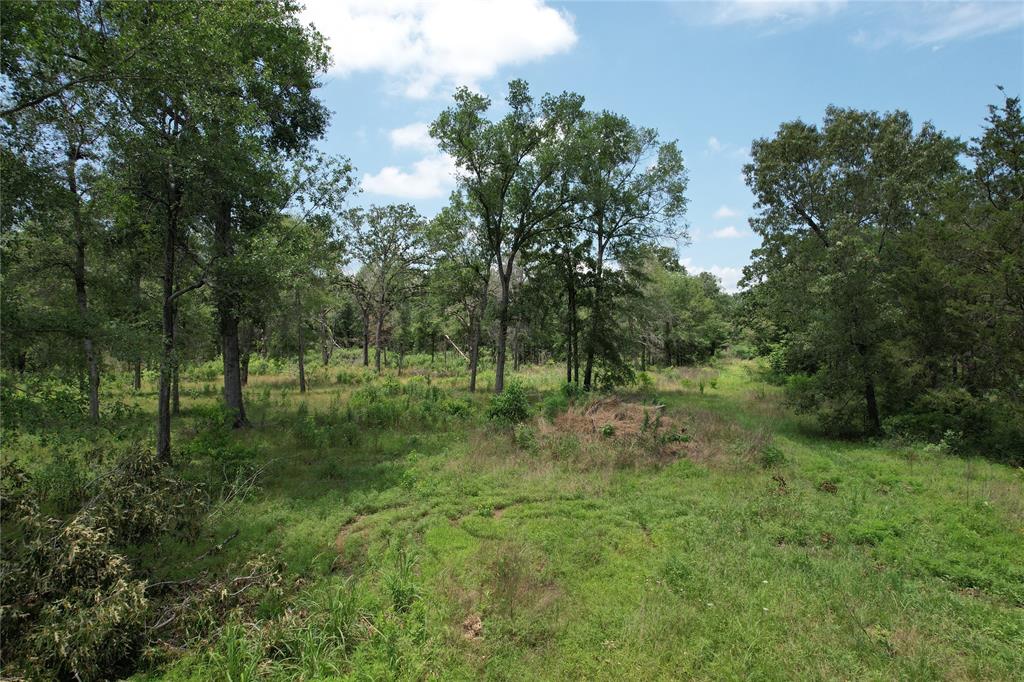 TBD Jones Road, Elkhart, Texas image 17