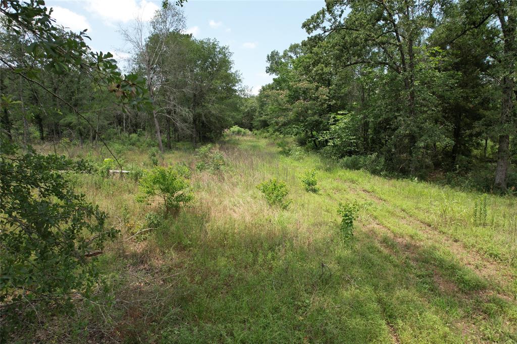 TBD Jones Road, Elkhart, Texas image 15