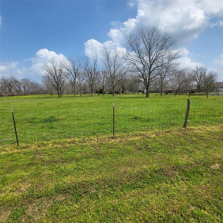 3220 Bowser Road, Fulshear, Texas image 5
