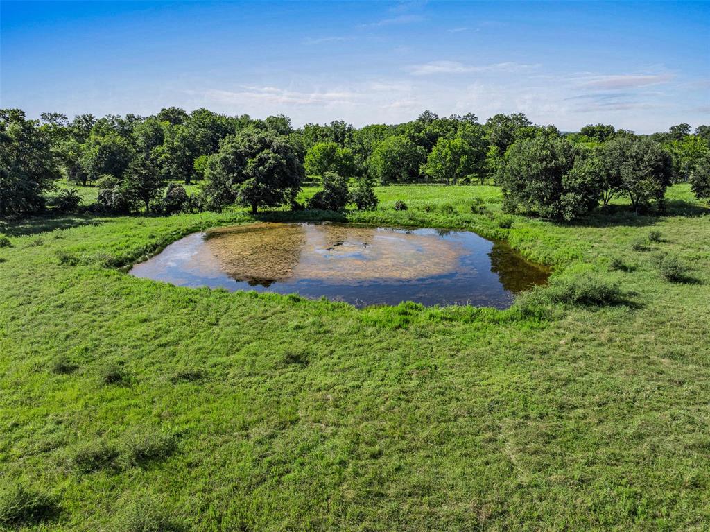 1560 Pulawski School Lane, Chappell Hill, Texas image 16