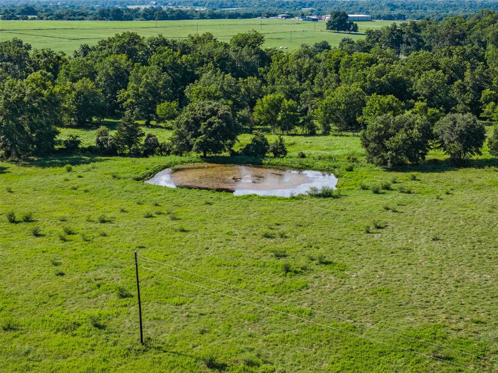 1560 Pulawski School Lane, Chappell Hill, Texas image 17