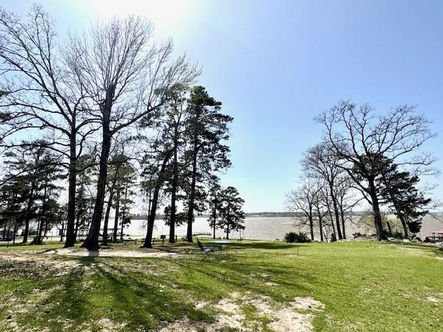 376 Nueces Dr Drive, Trinity, Texas image 4