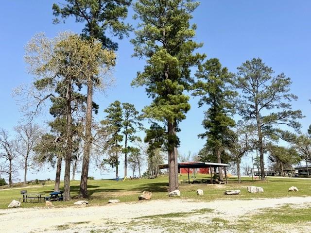 376 Nueces Dr Drive, Trinity, Texas image 8