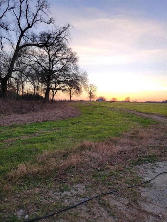 TBD County Road 231, Centerville, Texas image 5