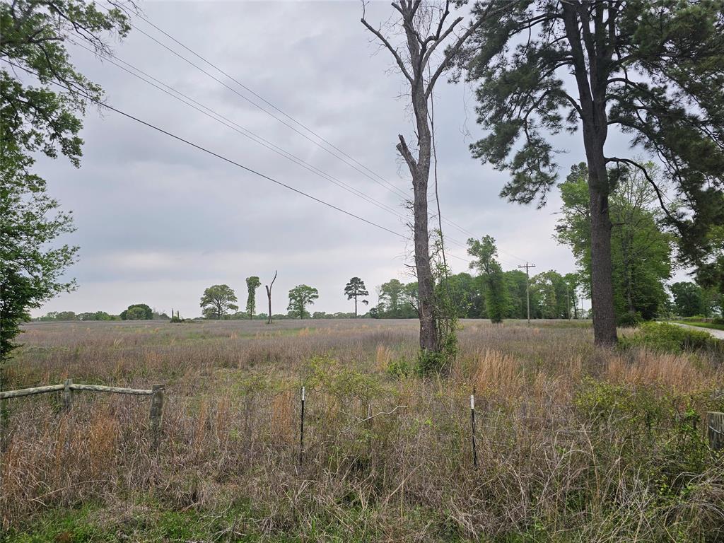 TBD County Road 231, Centerville, Texas image 22