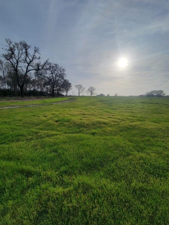 TBD County Road 231, Centerville, Texas image 1