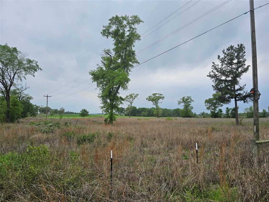 TBD County Road 231, Centerville, Texas image 23