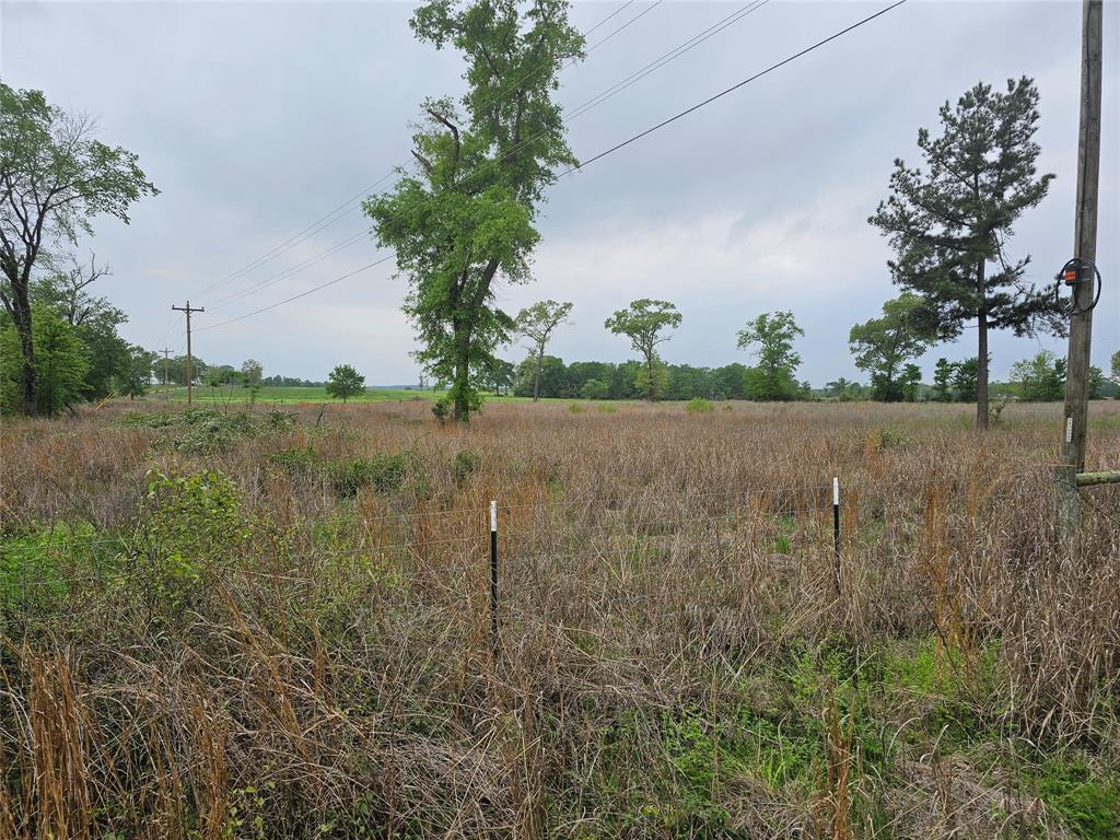 TBD County Road 231, Centerville, Texas image 20