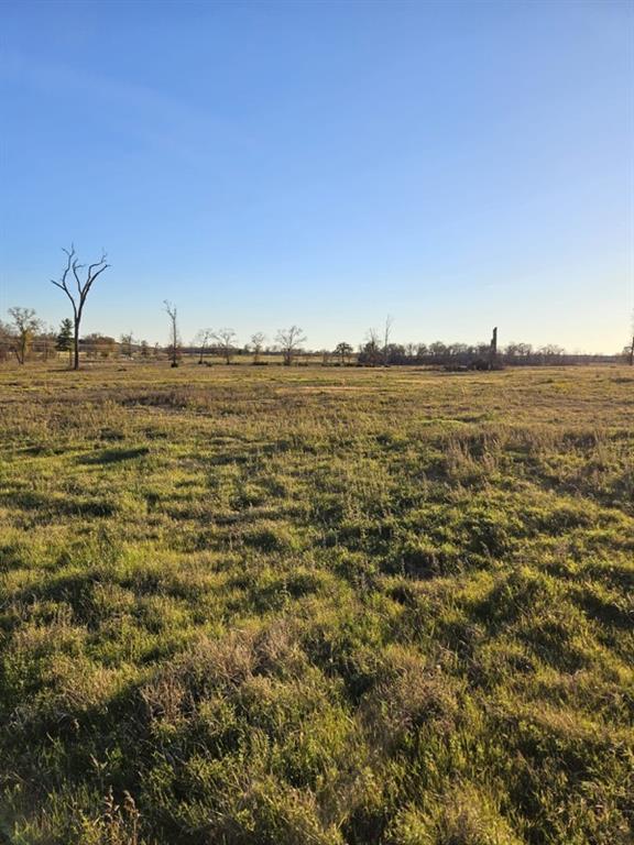 TBD County Road 231, Centerville, Texas image 4