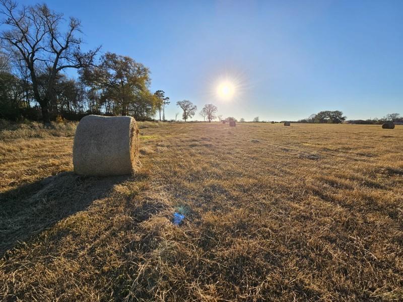 TBD County Road 231, Centerville, Texas image 2