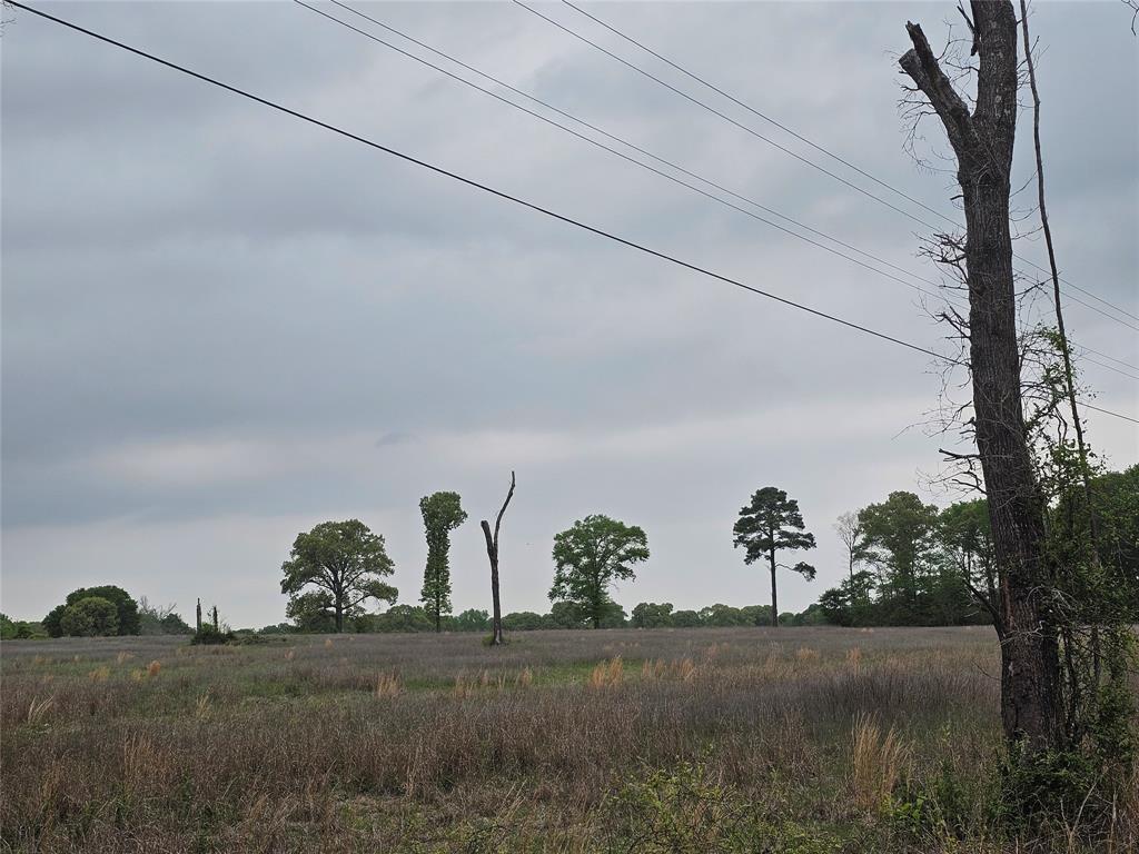 TBD County Road 231, Centerville, Texas image 16