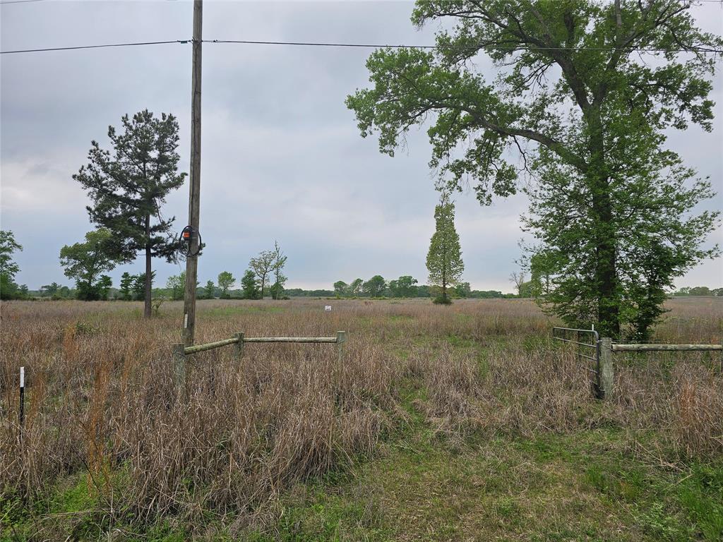 TBD County Road 231, Centerville, Texas image 18