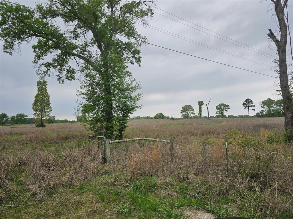 TBD County Road 231, Centerville, Texas image 21