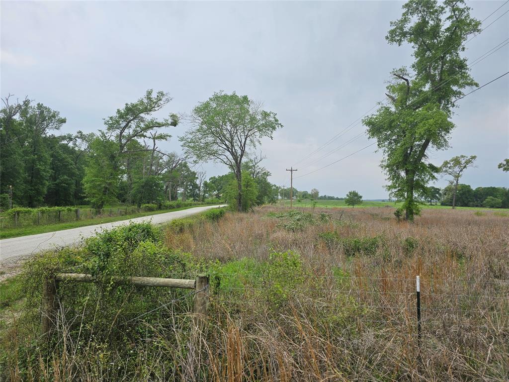 TBD County Road 231, Centerville, Texas image 17