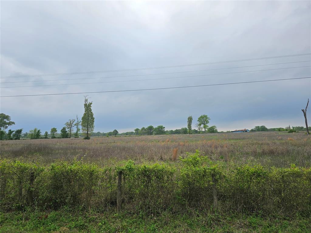 TBD County Road 231, Centerville, Texas image 13