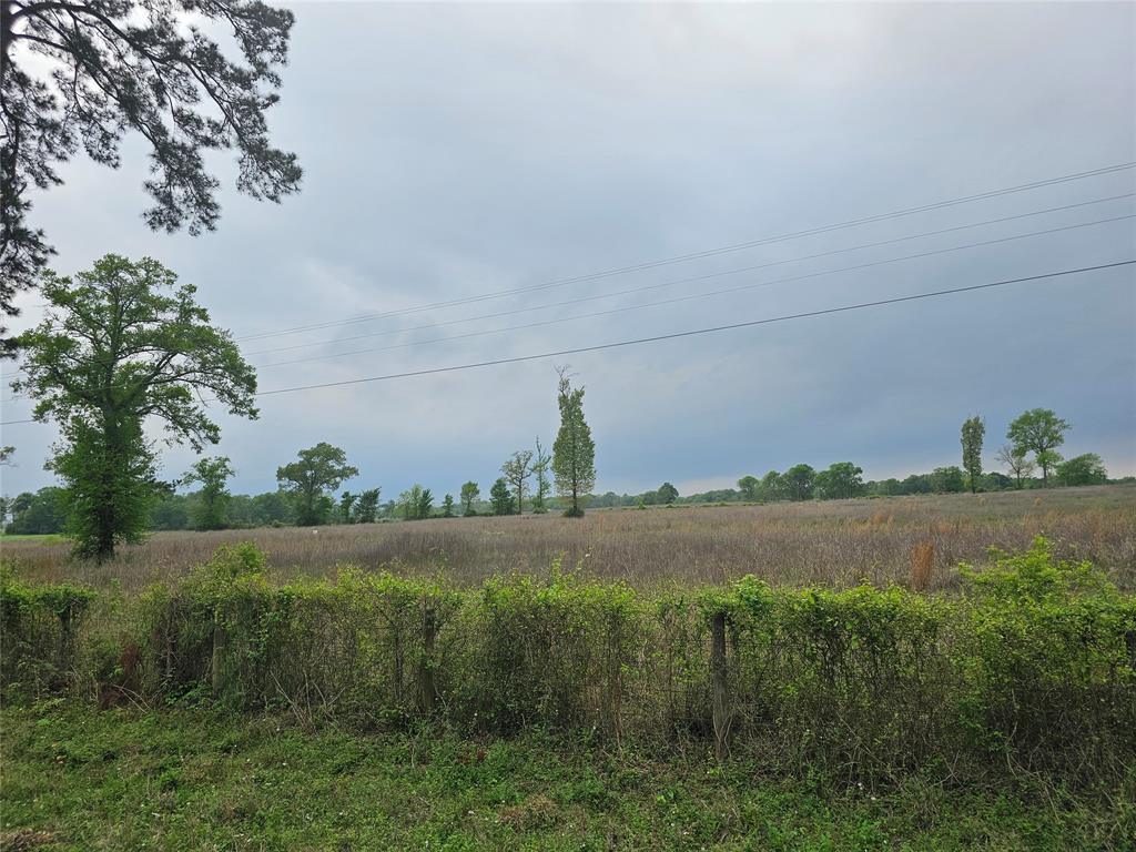 TBD County Road 231, Centerville, Texas image 12