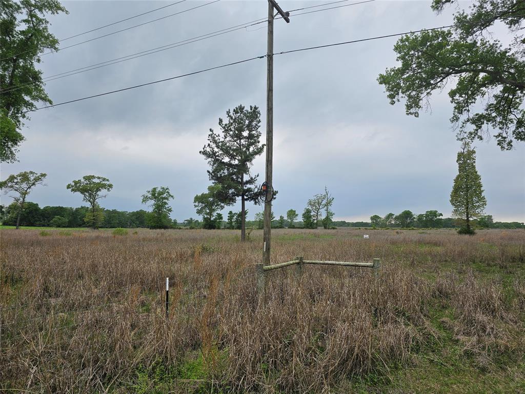 TBD County Road 231, Centerville, Texas image 14