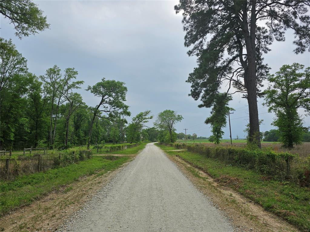 TBD County Road 231, Centerville, Texas image 10
