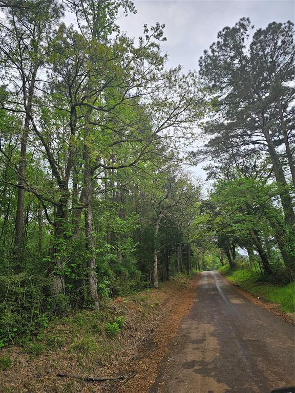 TBD County Road 231, Centerville, Texas image 11