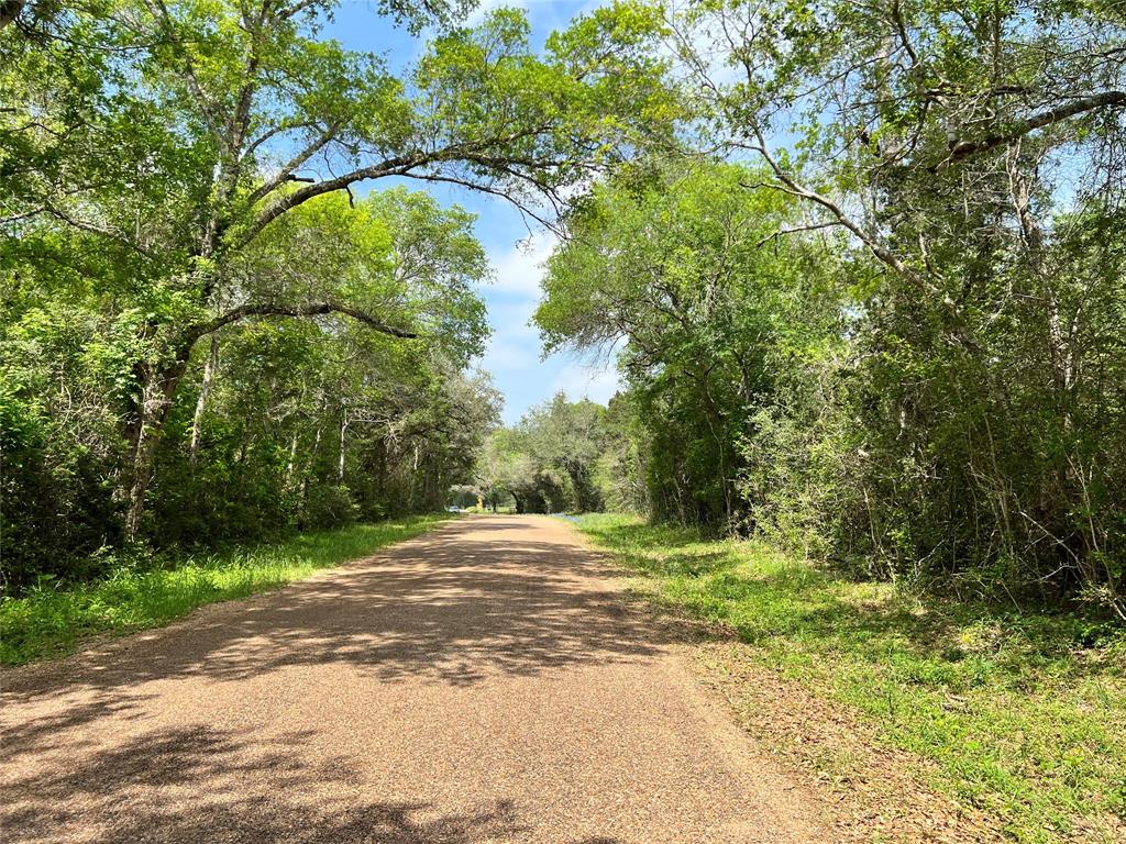 4717 Krischke, Schulenburg, Texas image 16