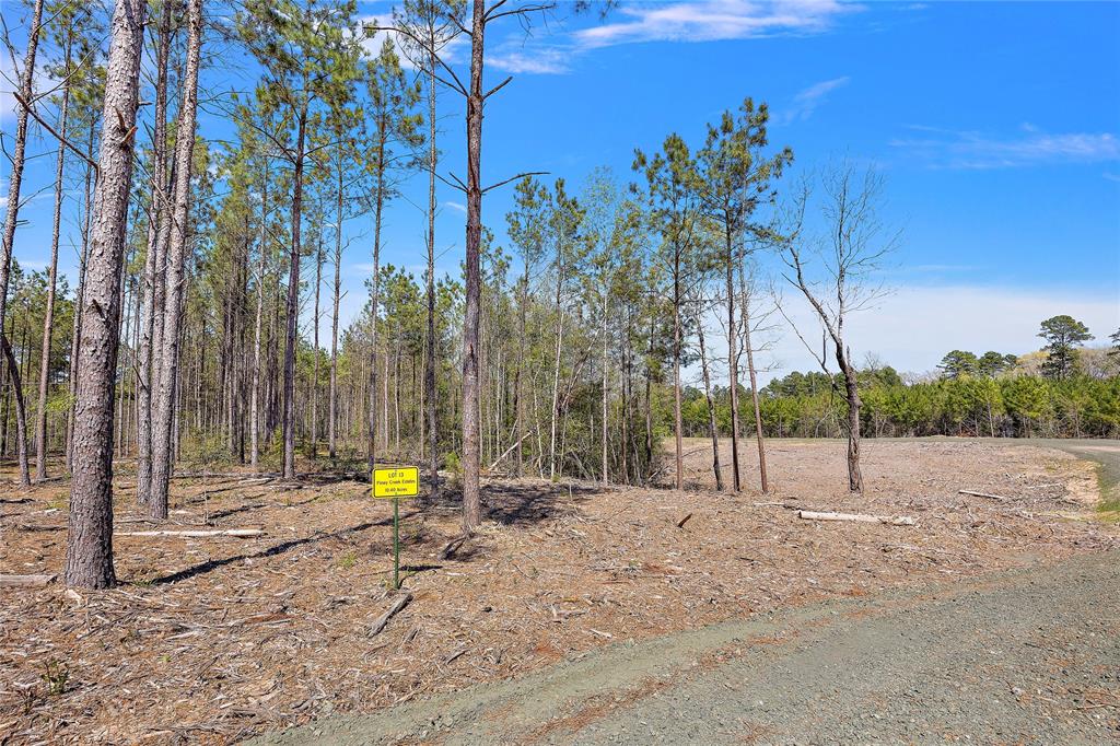 664 Piney Creek Estates Road, Timpson, Texas image 2