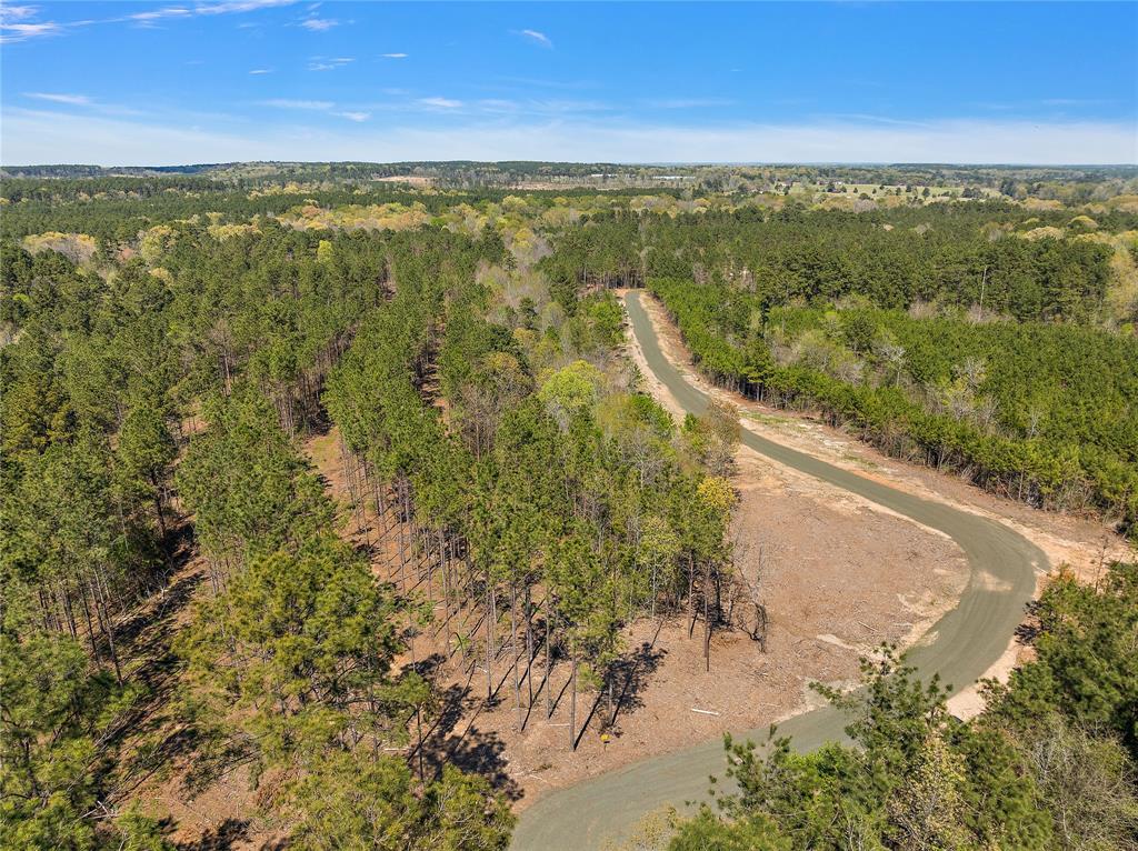 664 Piney Creek Estates Road, Timpson, Texas image 3