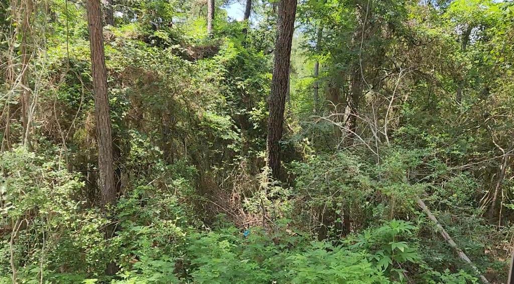 Lot 5 Pin Oak Drive, Plantersville, Texas image 11