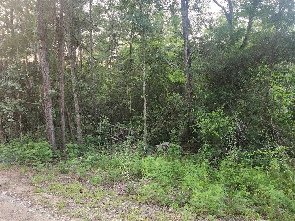 Lot 5 Pin Oak Drive