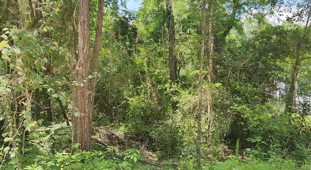 Lot 5 Pin Oak Drive, Plantersville, Texas image 6