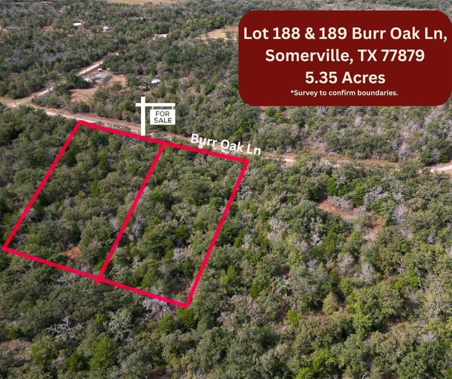 Lot 188 & 189 Burr Oak Ln, Somerville, Texas image 1