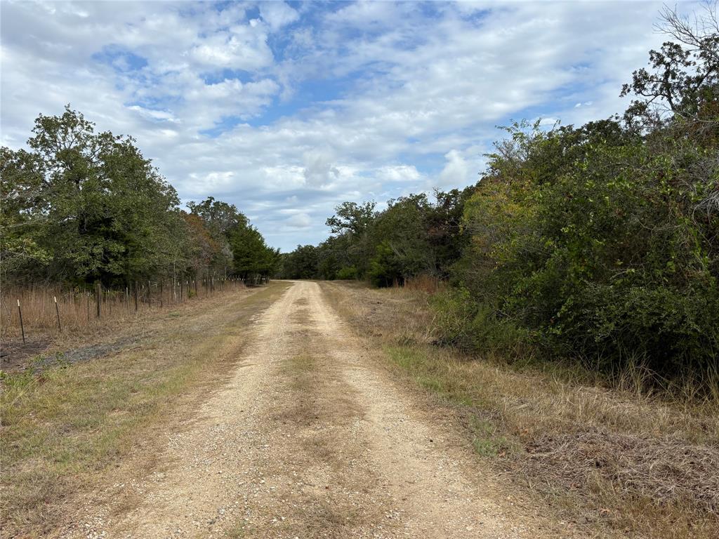 Lot 189 Burr Oak Ln, Somerville, Texas image 5