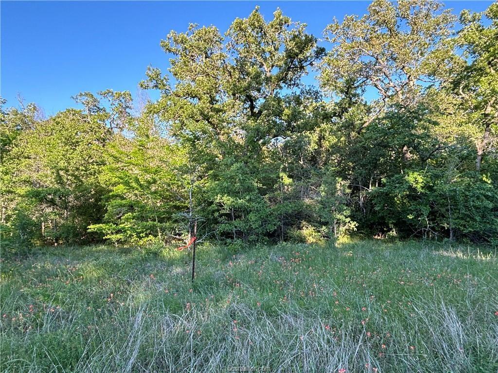 Lot 189 Burr Oak Ln, Somerville, Texas image 4