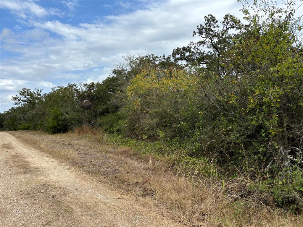 Lot 189 Burr Oak Ln, Somerville, Texas image 6