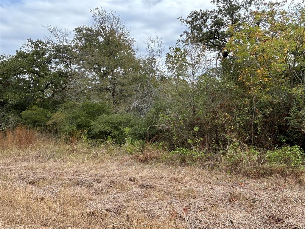 Lot 189 Burr Oak Ln, Somerville, Texas image 7