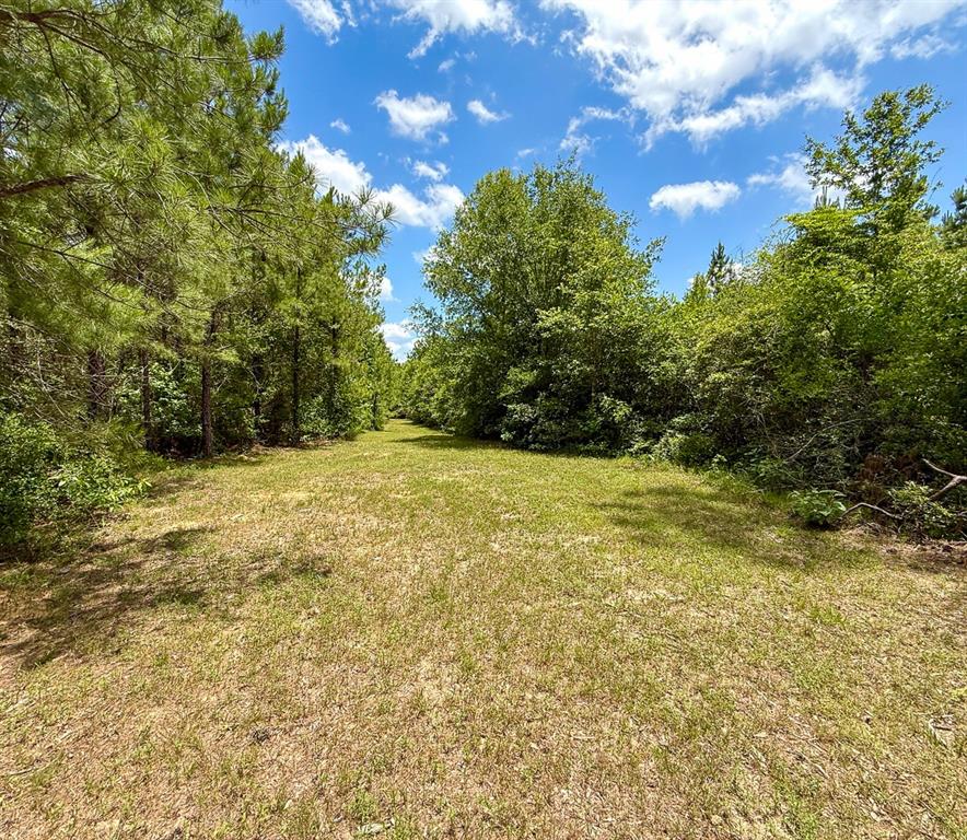TBD Menard Chapel Road, Livingston, Texas image 14