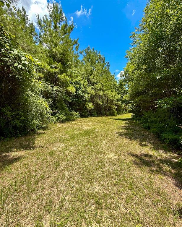 TBD Menard Chapel Road, Livingston, Texas image 11