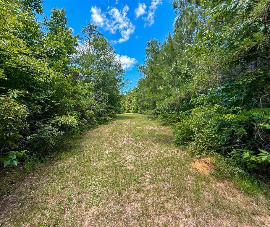 TBD Menard Chapel Road, Livingston, Texas image 12