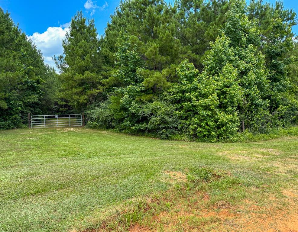 TBD Menard Chapel Road, Livingston, Texas image 20