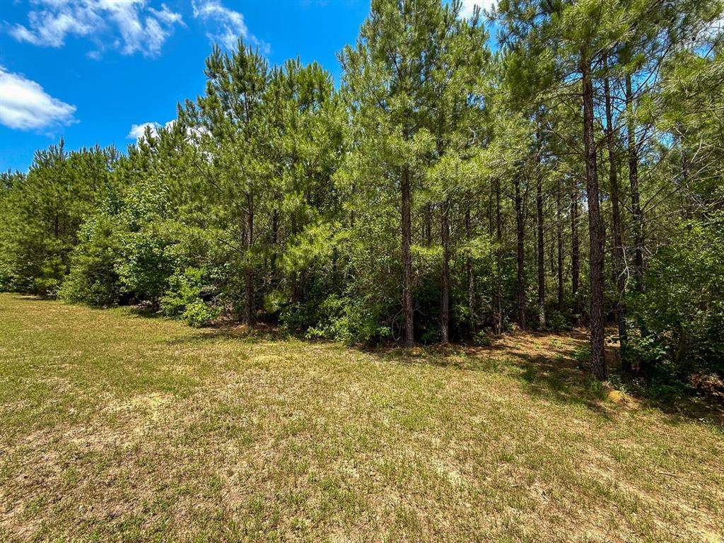 TBD Menard Chapel Road, Livingston, Texas image 13