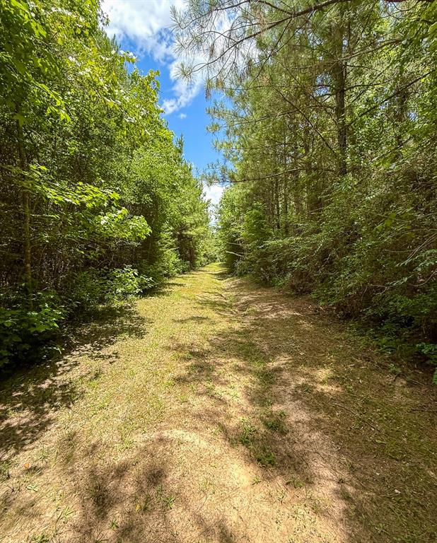 TBD Menard Chapel Road, Livingston, Texas image 10
