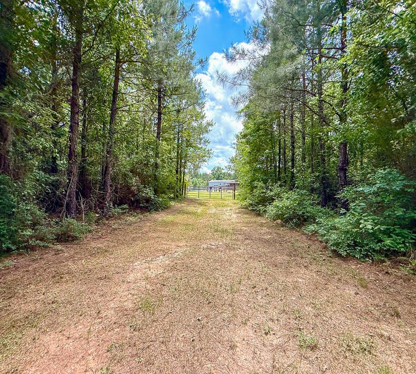 TBD Menard Chapel Road, Livingston, Texas image 19