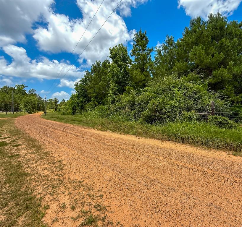 TBD Menard Chapel Road, Livingston, Texas image 7