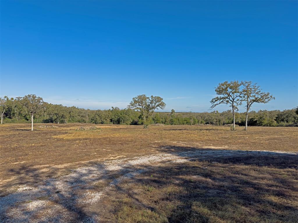 10429 County Road 313, Caldwell, Texas image 12