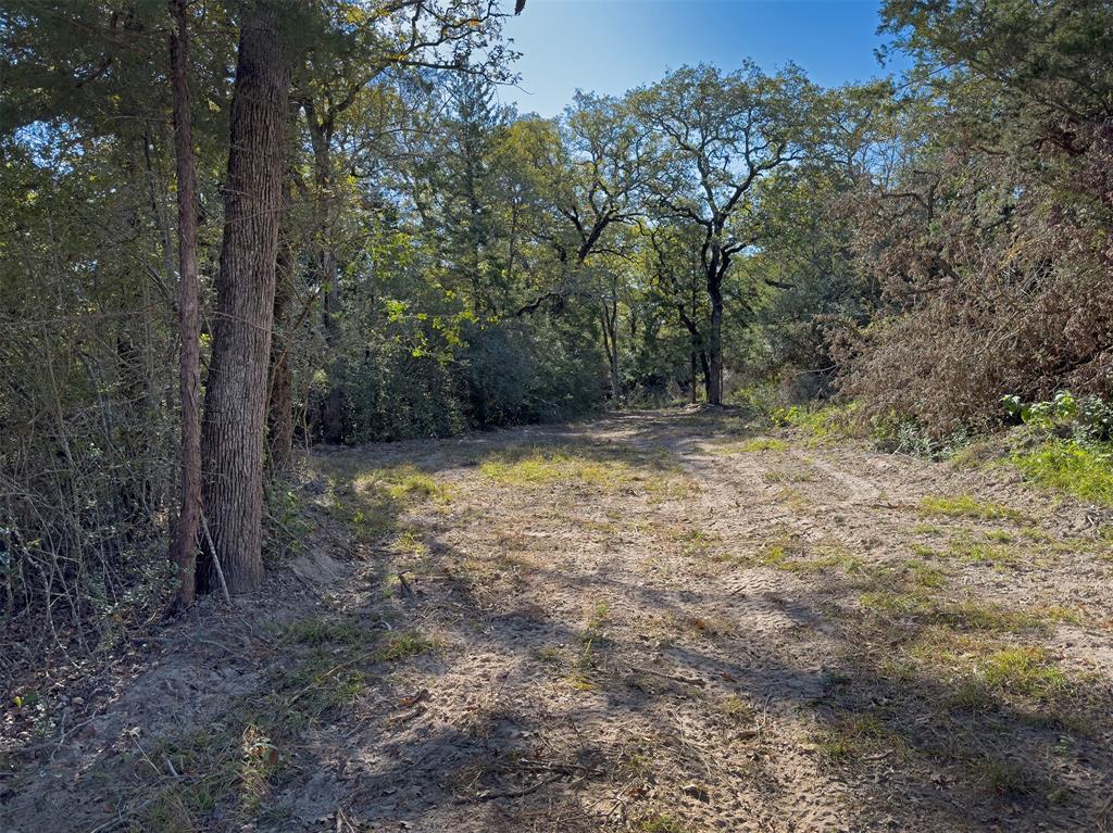 10429 County Road 313, Caldwell, Texas image 11